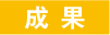 成果